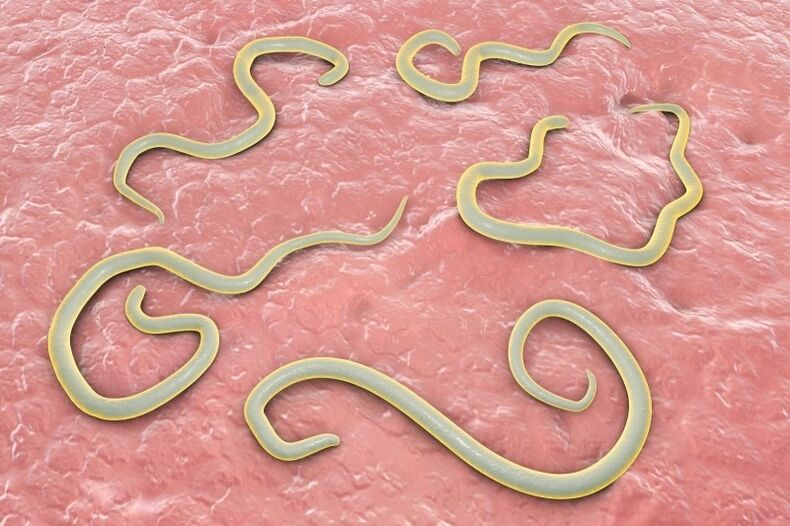 parasites