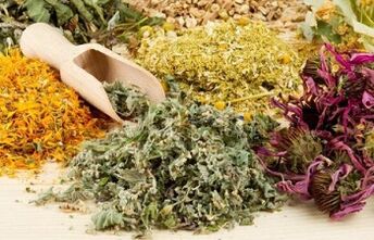 Herbes pour nettoyer le corps des parasites