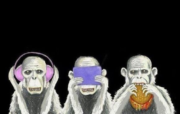 Parasites externes humains